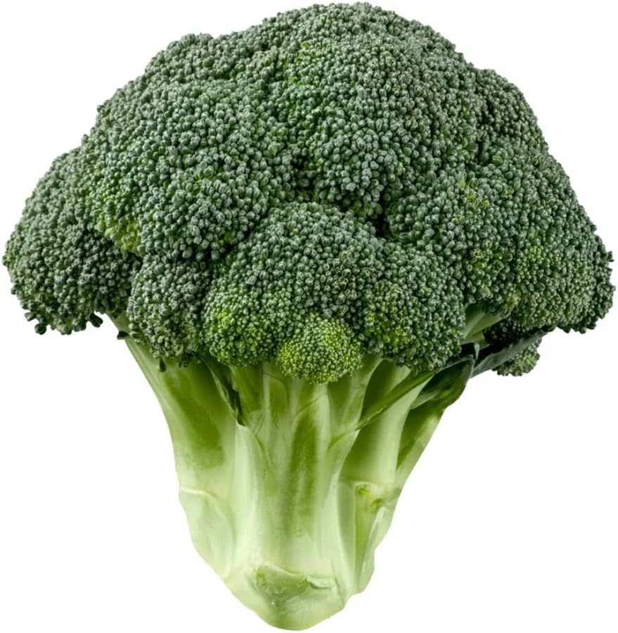 Broccoli