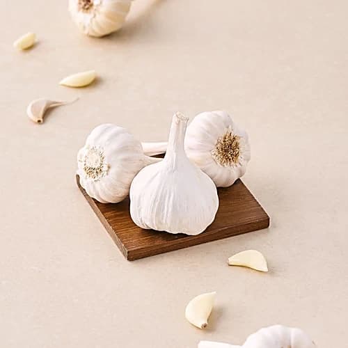 Garlic